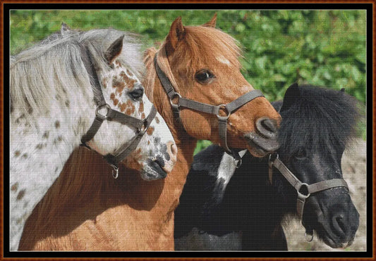 Ponies