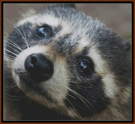 Raccoon cross stitch patterns are expertly created from art by Markus Wagner (Africaandasia) under CC0 license