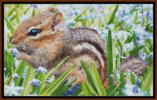 Chipmunk