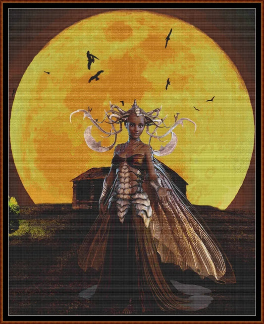 Sunset Fairy