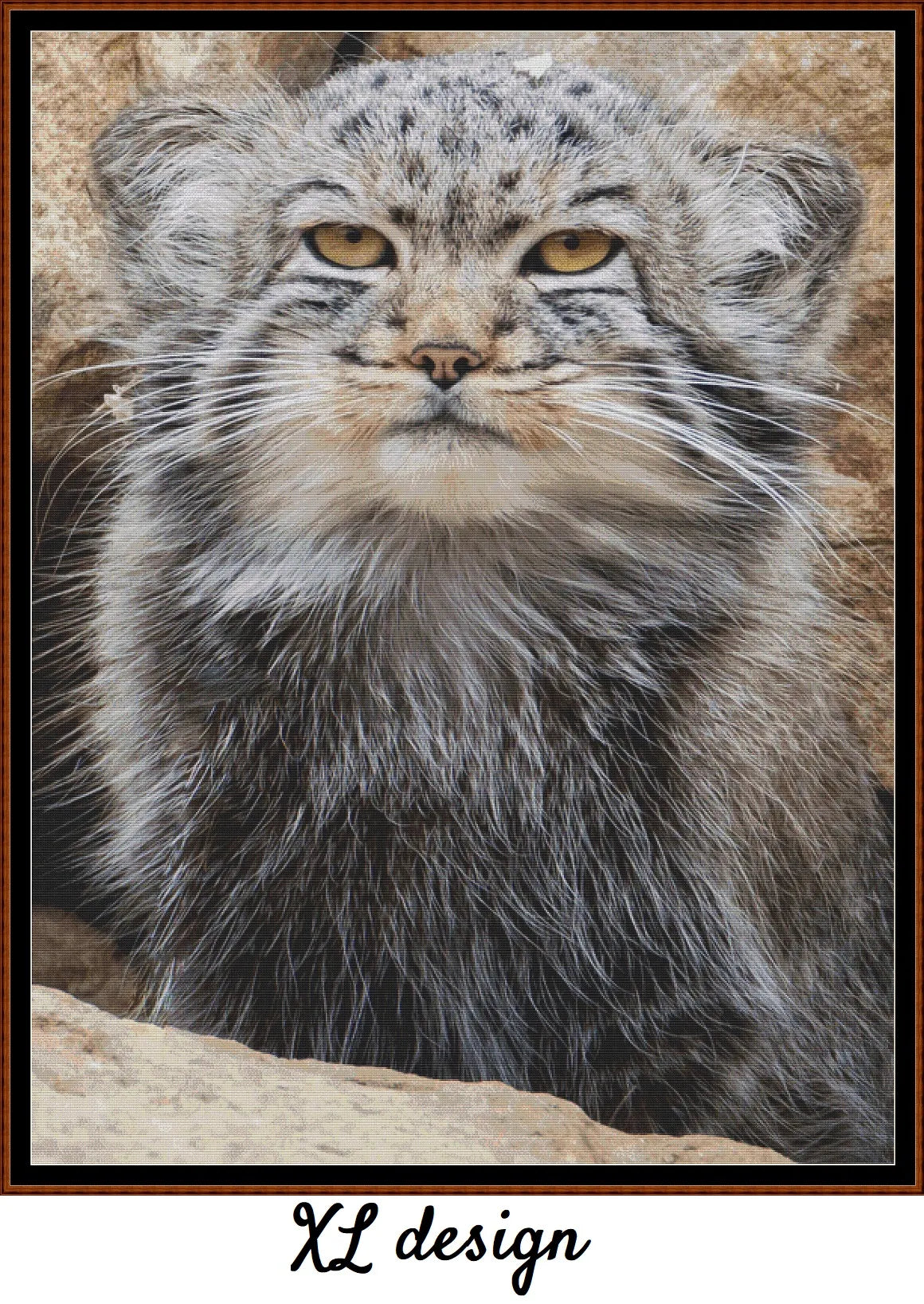 Pallas's Cat