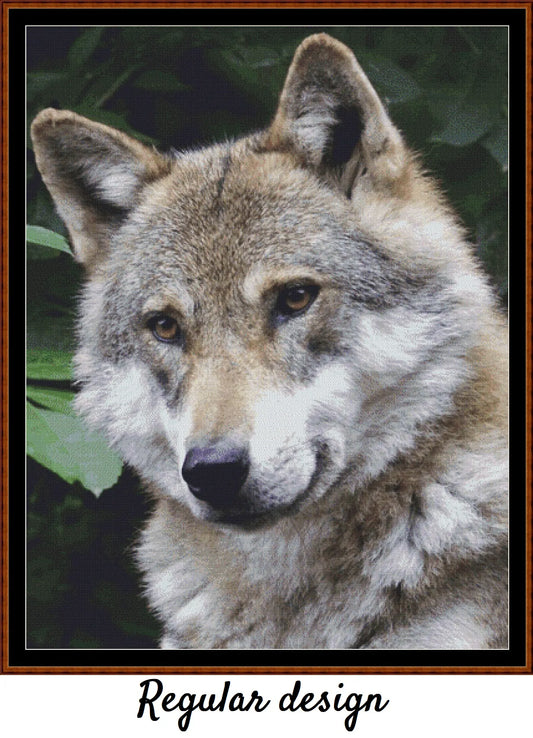 Wolf Watch