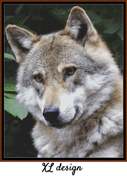 Wolf Watch