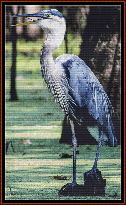 Great Blue Heron