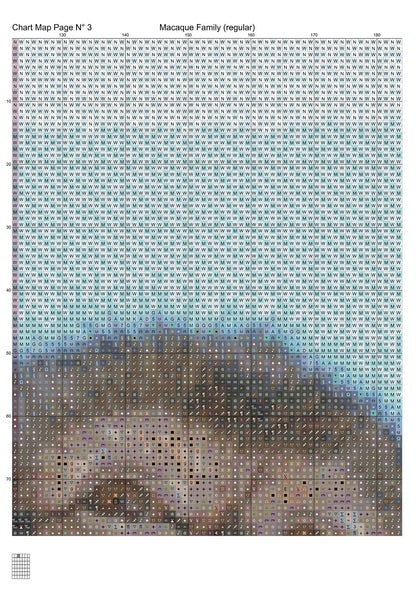 Macaque Family