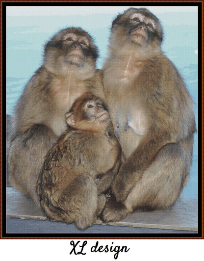Macaque Family