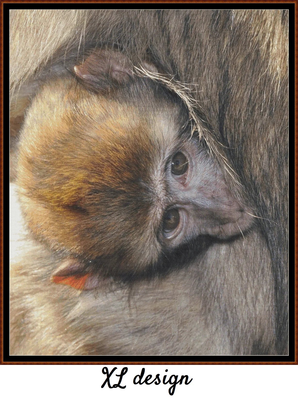Baby Animals - Macaque