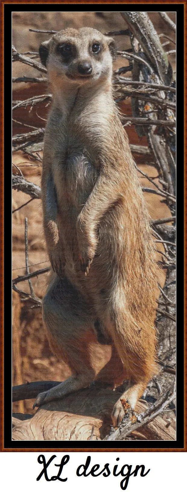 Looking At You - Meerkat
