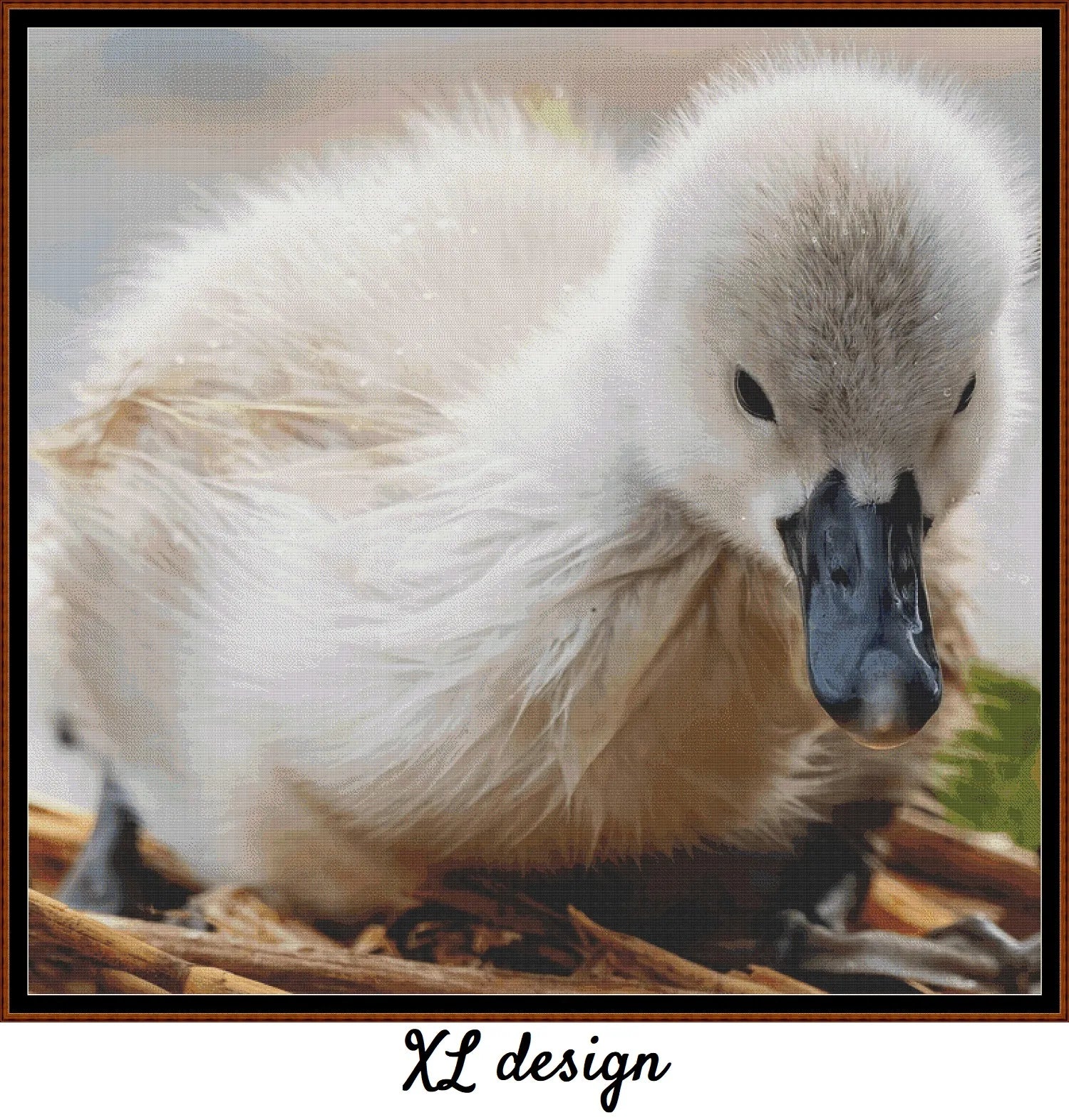 Baby Birds - Cygnet