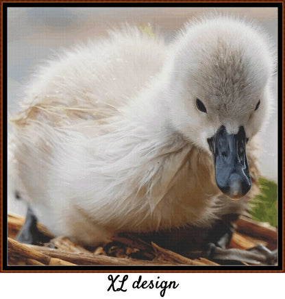 Baby Birds - Cygnet