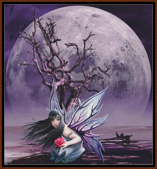 The Last Rose 