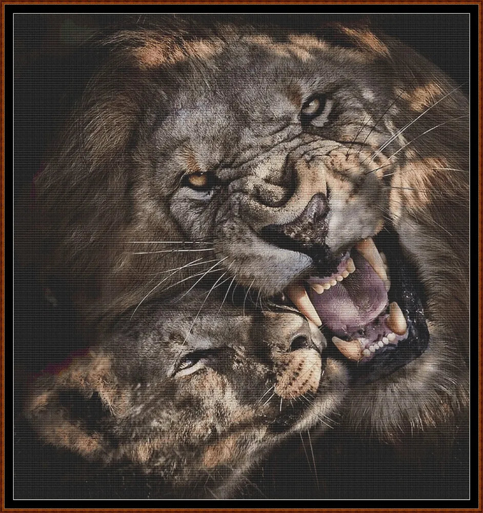 Look Son, Teeth!