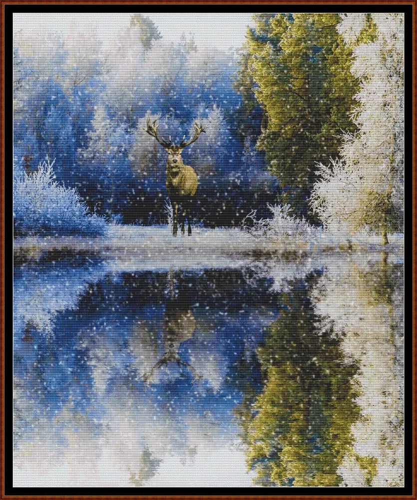 Winter Reflections 