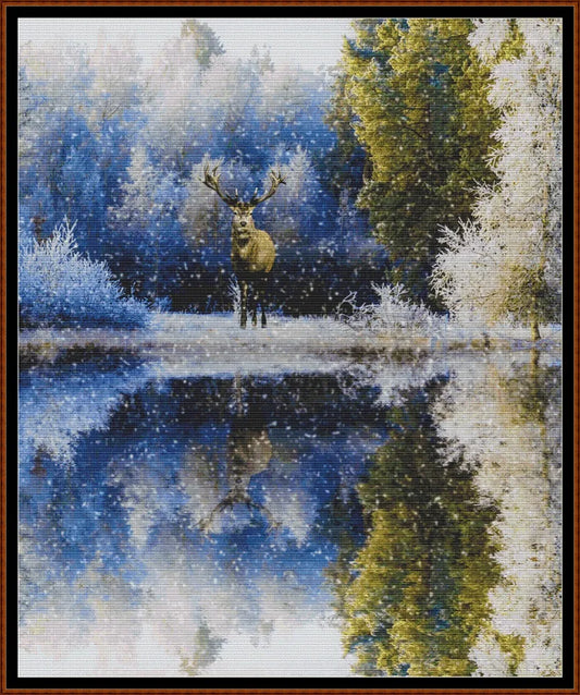 Winter Reflections 