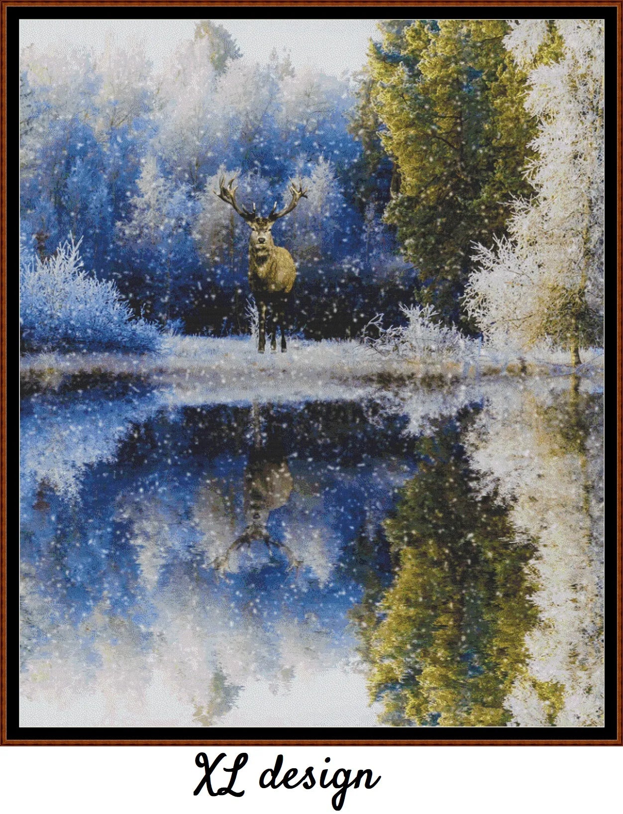 Winter Reflections 