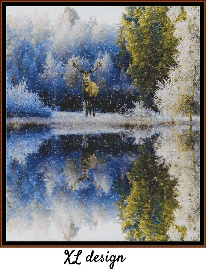 Winter Reflections 