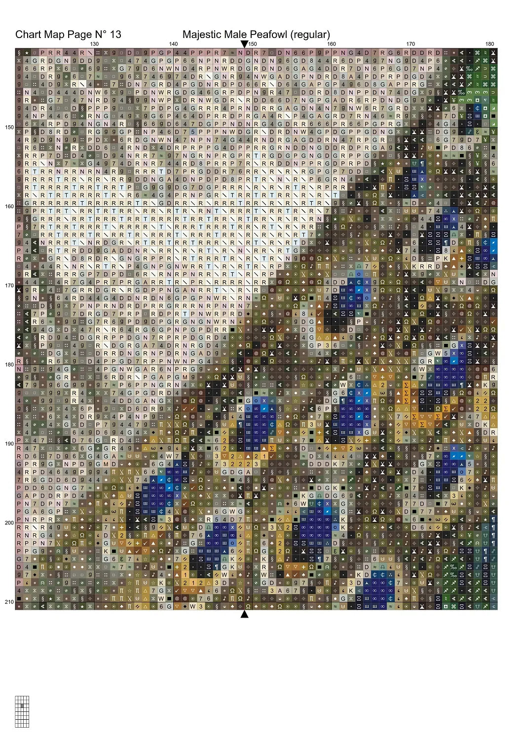 Majestic Male Peafowl 