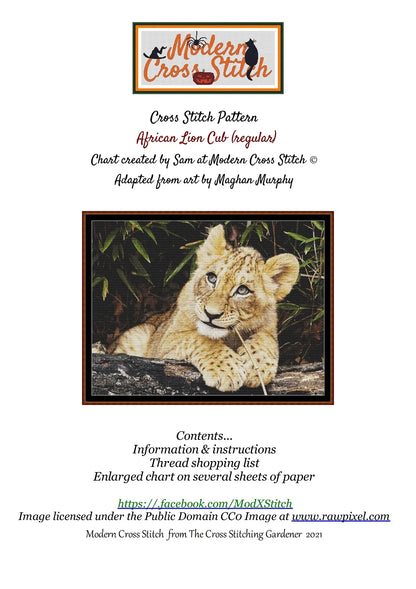African Lion Cub 