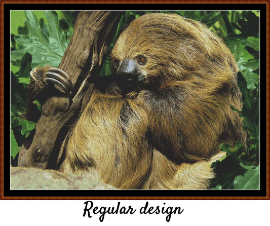 Two-Toed Sloth 