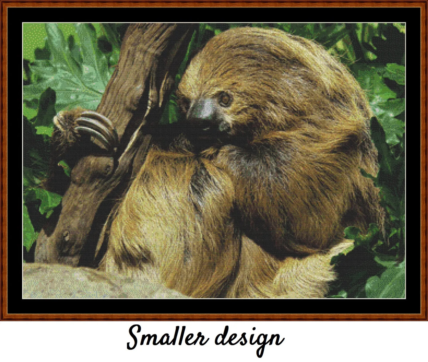 Two-Toed Sloth 