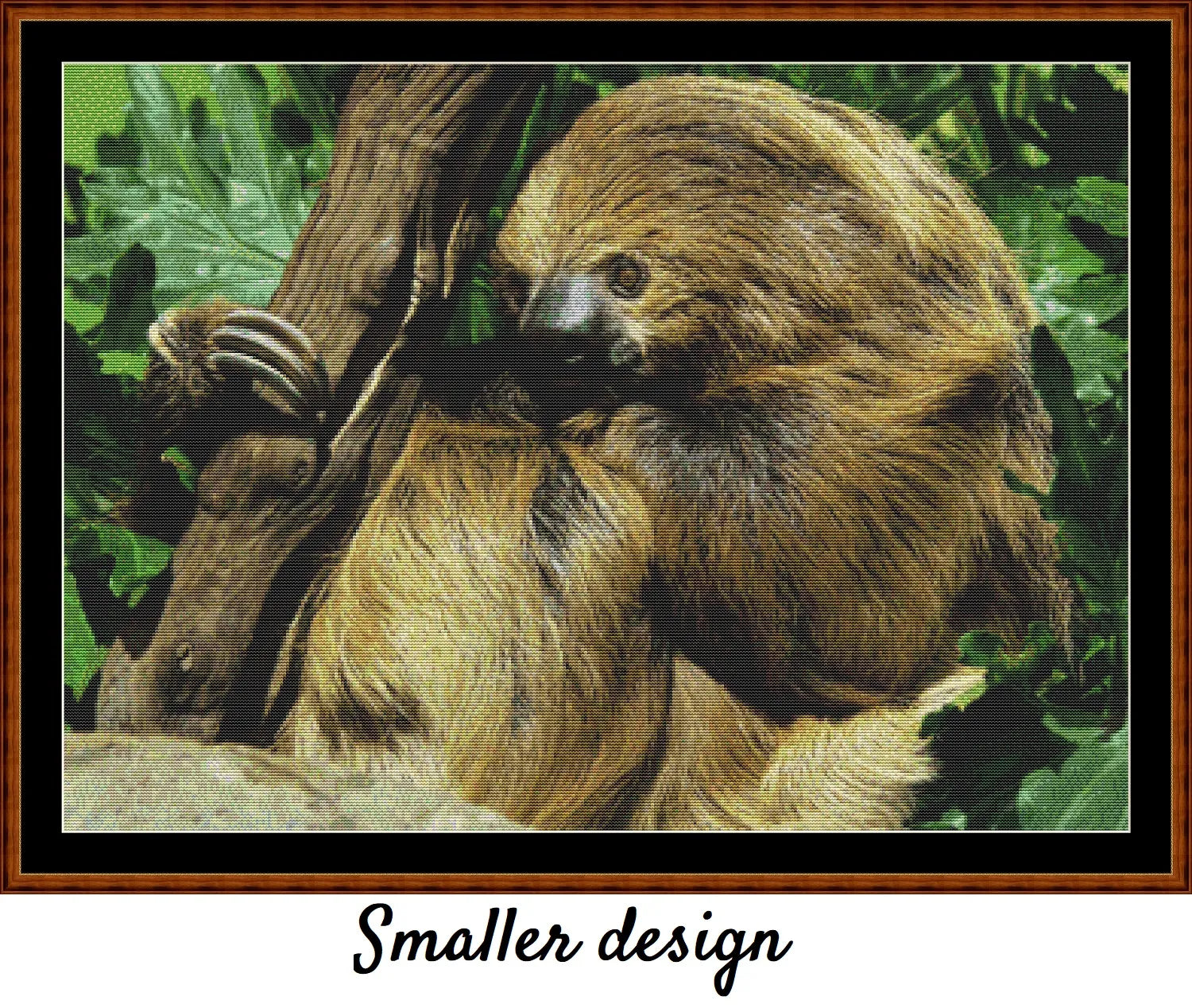 Two-Toed Sloth 
