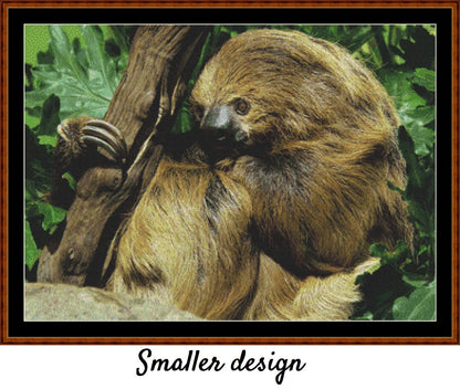 Two-Toed Sloth 