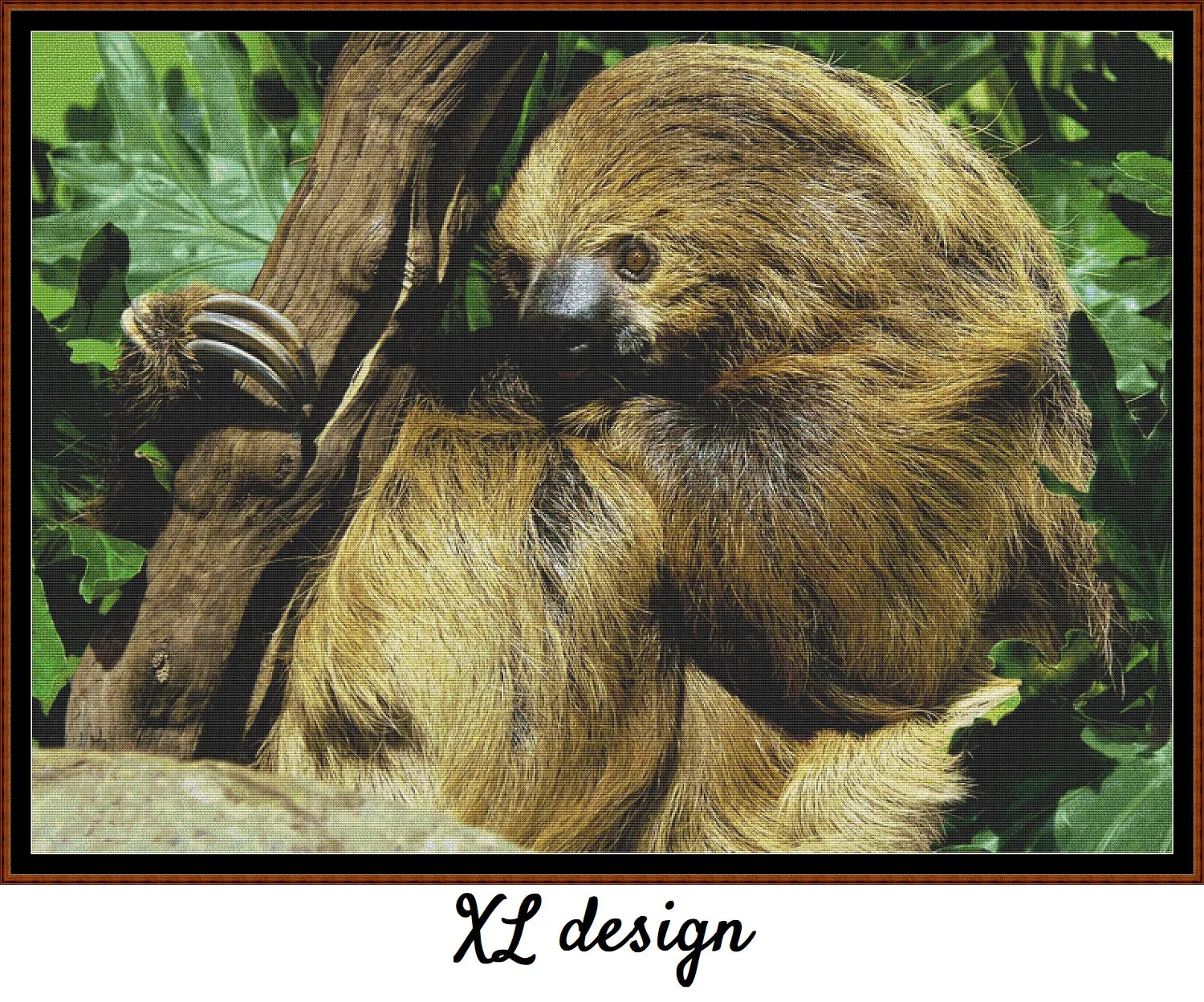 Two-Toed Sloth 