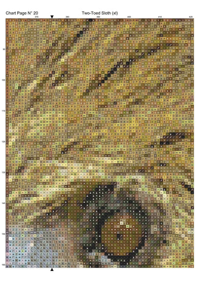 Two-Toed Sloth 