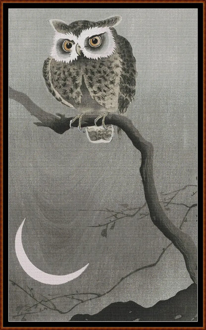 Long-Eared Owl On A Branch 