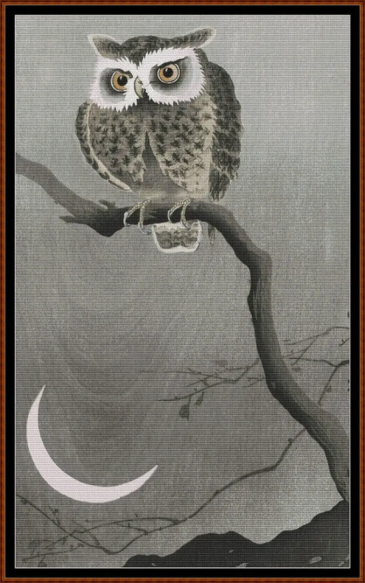 Long-Eared Owl On A Branch 