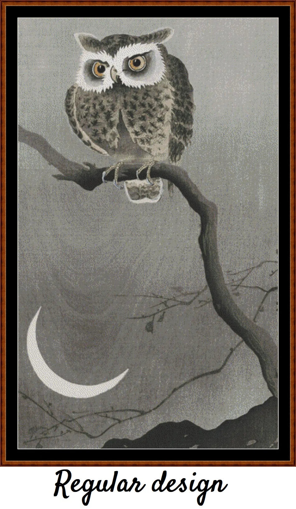 Long-Eared Owl On A Branch 