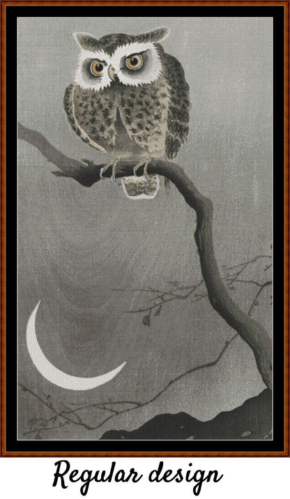 Long-Eared Owl On A Branch 