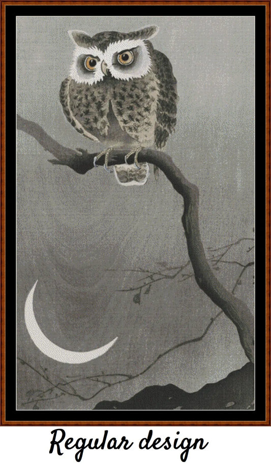 Long-Eared Owl On A Branch 