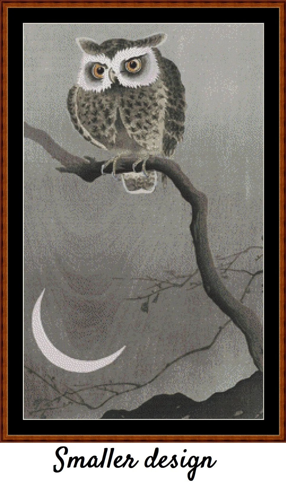 Long-Eared Owl On A Branch 