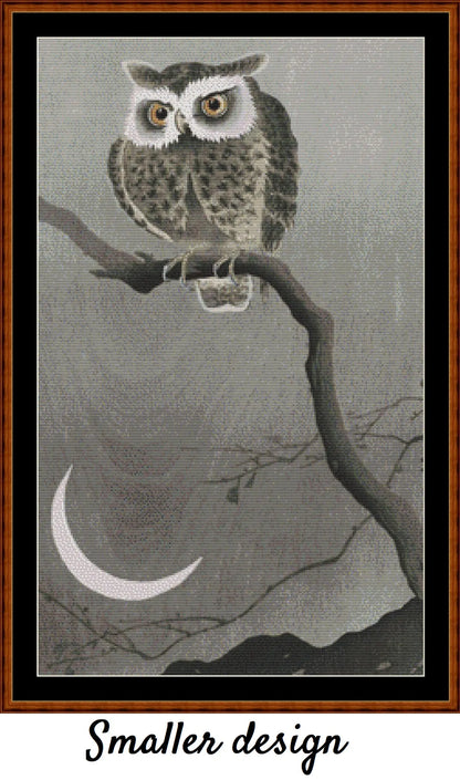 Long-Eared Owl On A Branch 