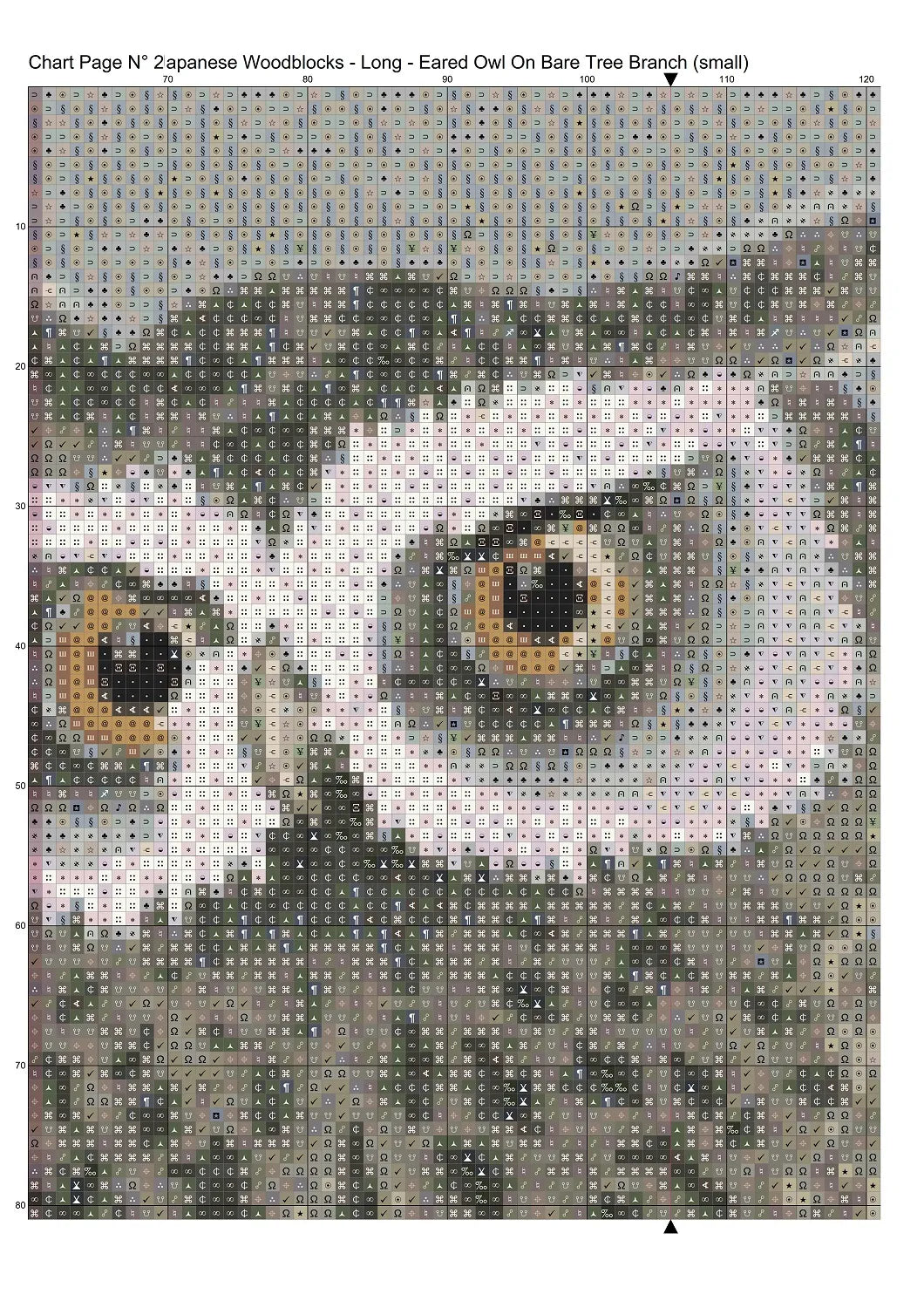Long-Eared Owl On A Branch 
