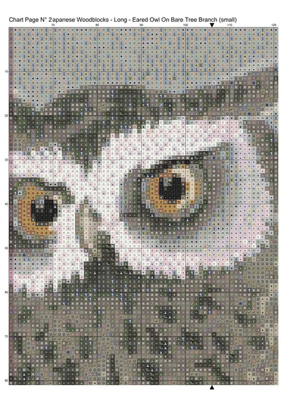 Long-Eared Owl On A Branch 