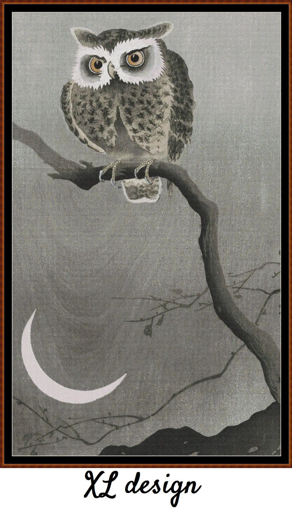 Long-Eared Owl On A Branch 