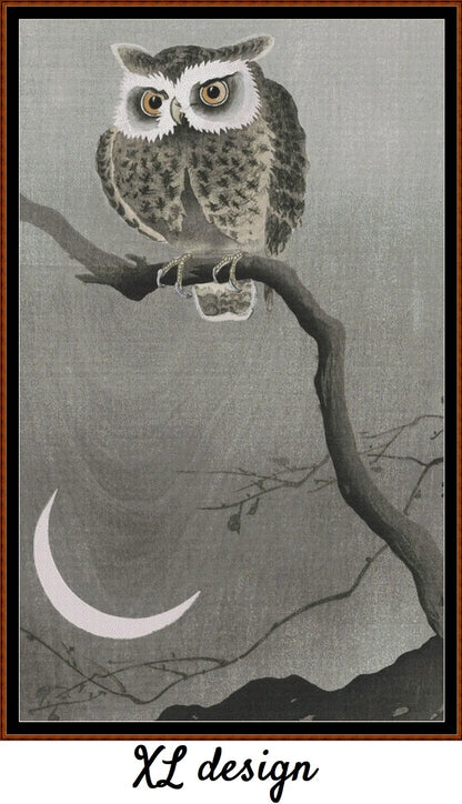 Long-Eared Owl On A Branch 