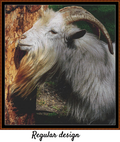 Goat 