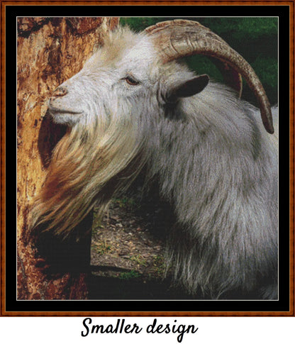 Goat 