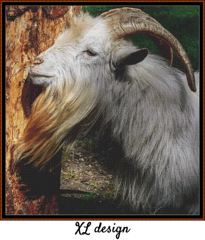 Goat 