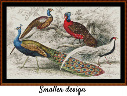 A History Of The Earth...- Peacocks  