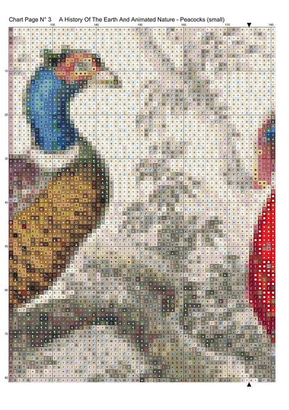 A History Of The Earth...- Peacocks  