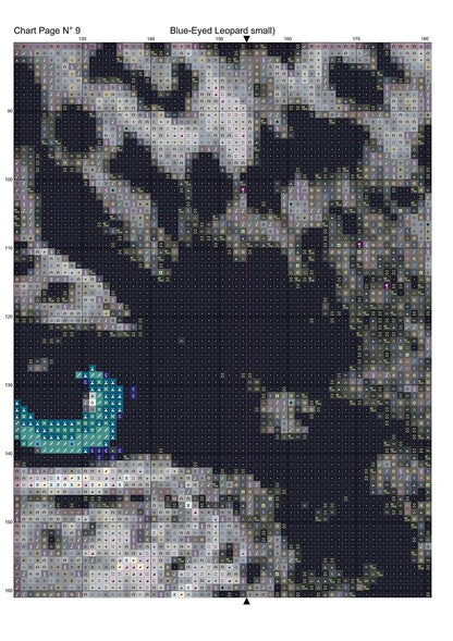 Blue-Eyed Leopard 