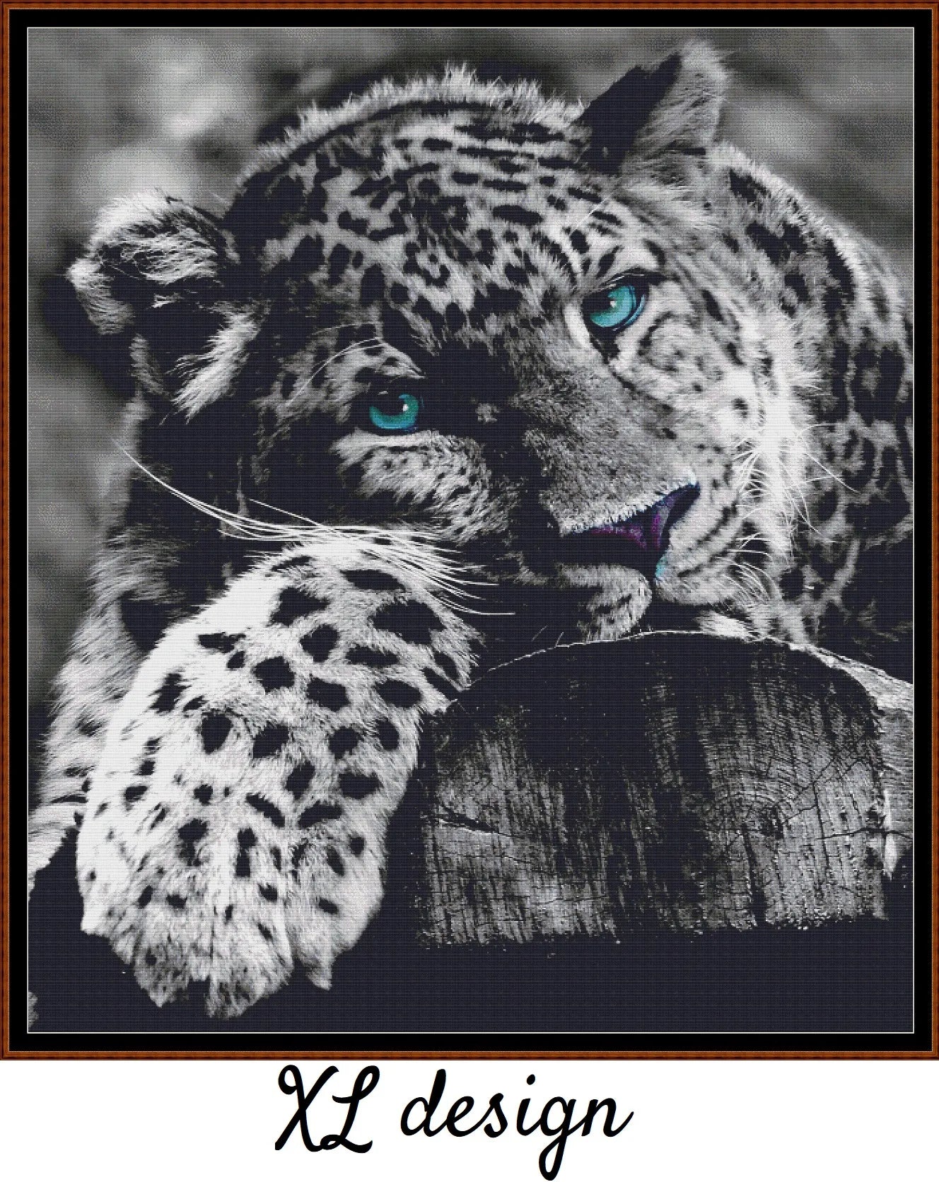 Blue-Eyed Leopard 