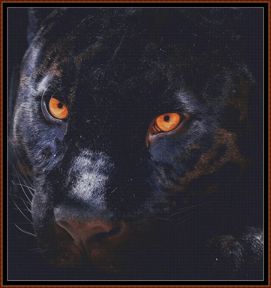 Panther Eyes 