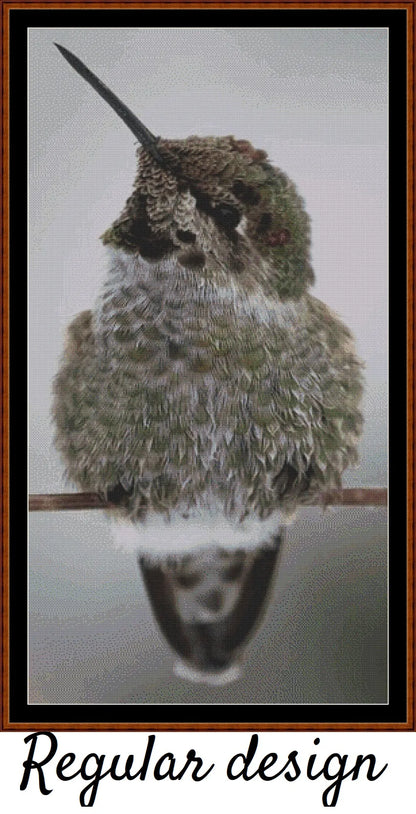 Fluffball - Hummingbird 