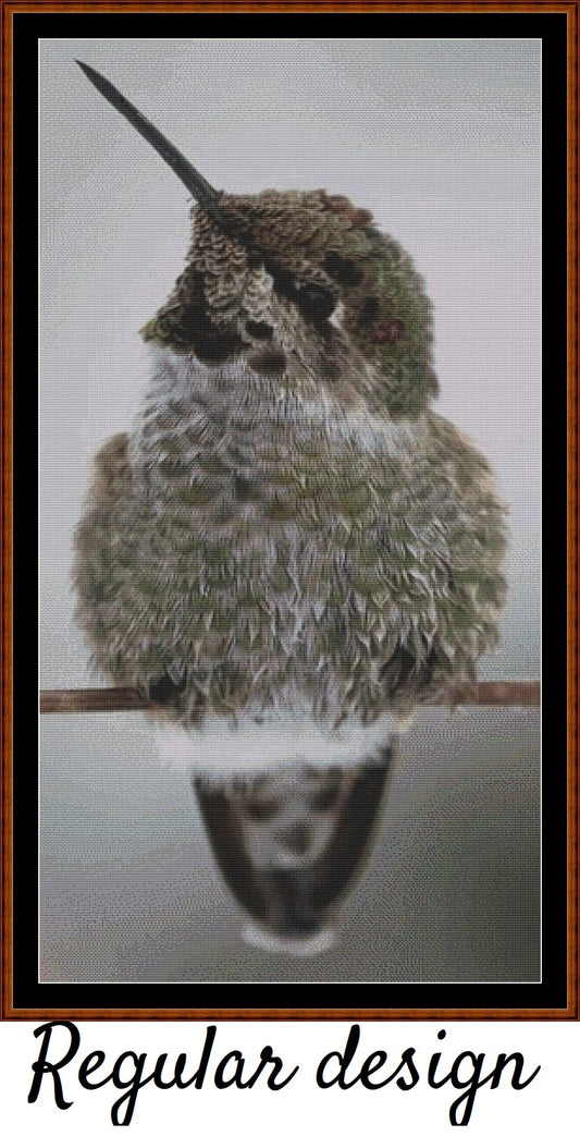 Fluffball - Hummingbird 
