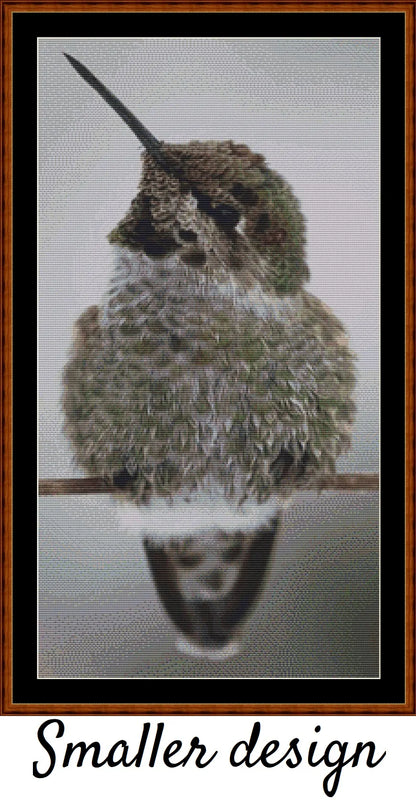 Fluffball - Hummingbird 
